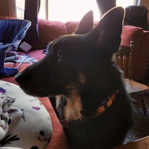 Meet your Posher, Erica